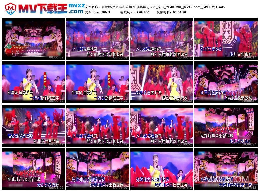 袁慧婷-八月桂花遍地开(现场版)_国语_流行_YE400790
